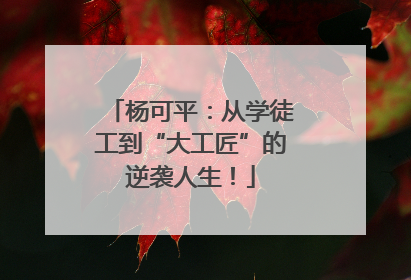 杨可平：从学徒工到“大工匠”的逆袭人生！