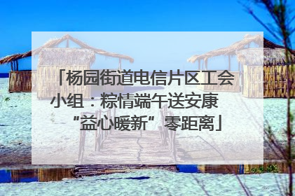杨园街道电信片区工会小组：粽情端午送安康 “益心暖新”零距离