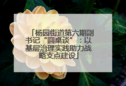 杨园街道第六期副书记“圆桌谈”：以基层治理实践助力战略支点建设