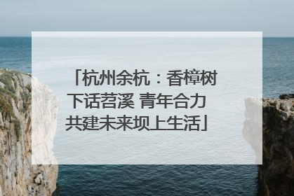 杭州余杭：香樟树下话苕溪 青年合力共建未来坝上生活