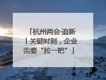 杭州两会·追新丨关键时刻，企业需要“拉一把”