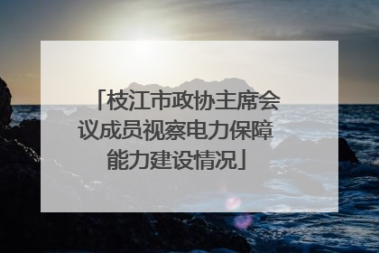 枝江市政协主席会议成员视察电力保障能力建设情况