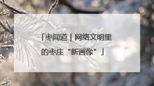 枣闻道｜网络文明里的枣庄“新画像”