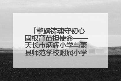 擎旗铸魂守初心 固根育苗担使命——天长市炳辉小学与萧县师范学校附属小学结对共建活动纪实