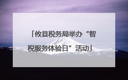 攸县税务局举办“智税服务体验日”活动