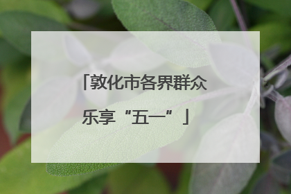 敦化市各界群众乐享“五一”