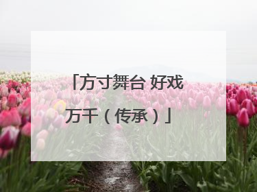 方寸舞台 好戏万千（传承）