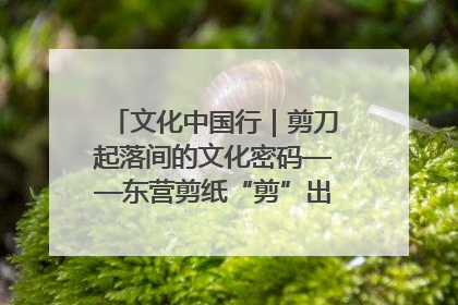 文化中国行｜剪刀起落间的文化密码——东营剪纸“剪”出非遗传承与现代生活的融合之道