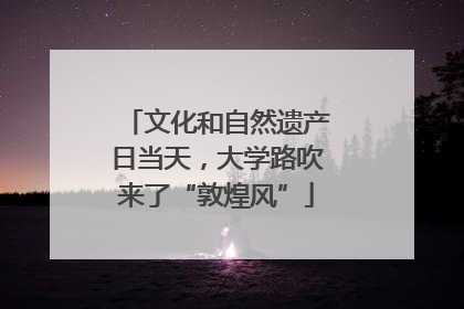 文化和自然遗产日当天，大学路吹来了“敦煌风”