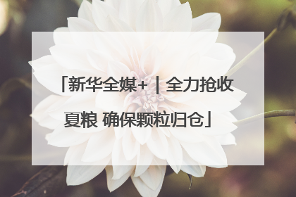 新华全媒+｜全力抢收夏粮 确保颗粒归仓