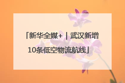 新华全媒+｜武汉新增10条低空物流航线
