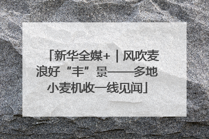 新华全媒+｜风吹麦浪好“丰”景——多地小麦机收一线见闻
