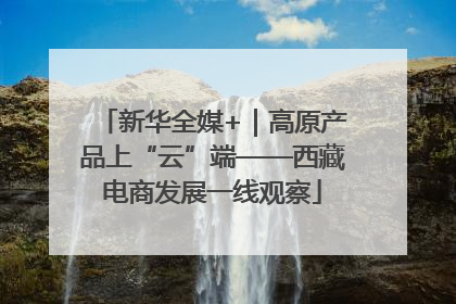 新华全媒+｜高原产品上“云”端——西藏电商发展一线观察