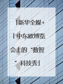 新华全媒+丨中东欧博览会上的“数智”科技秀