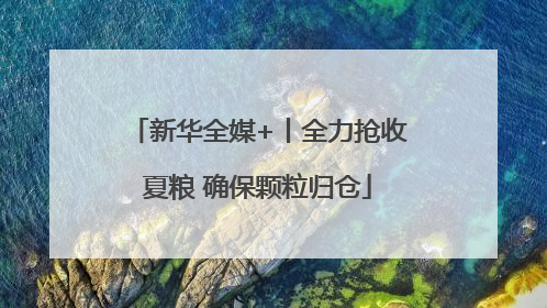 新华全媒+丨全力抢收夏粮 确保颗粒归仓