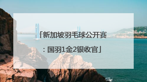 新加坡羽毛球公开赛：国羽1金2银收官