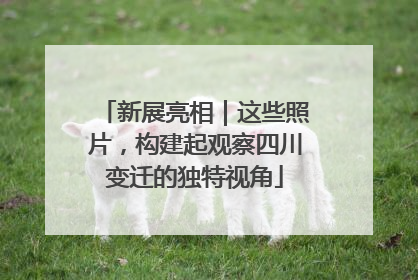 新展亮相｜这些照片，构建起观察四川变迁的独特视角