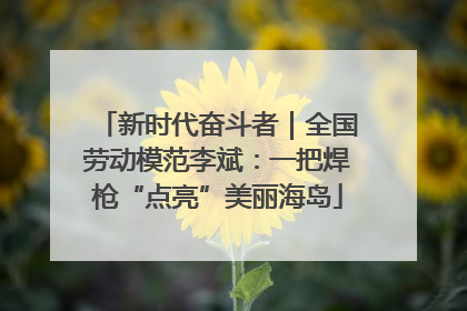 新时代奋斗者｜全国劳动模范李斌：一把焊枪“点亮”美丽海岛