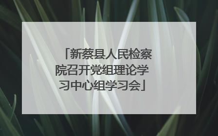 新蔡县人民检察院召开党组理论学习中心组学习会