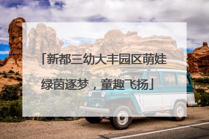 新都三幼大丰园区萌娃绿茵逐梦，童趣飞扬