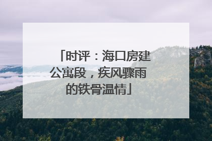 时评：海口房建公寓段，疾风骤雨的铁骨温情