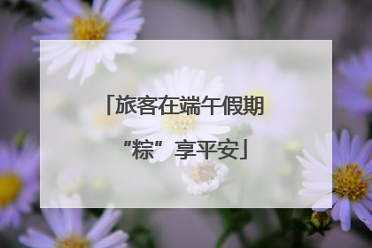 旅客在端午假期“粽”享平安
