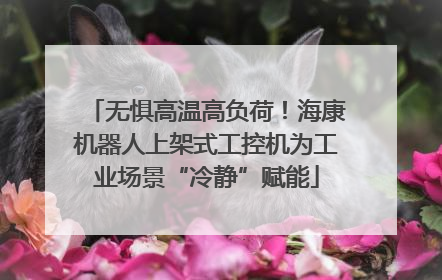 无惧高温高负荷！海康机器人上架式工控机为工业场景“冷静”赋能