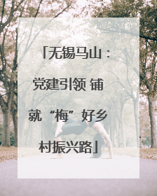 无锡马山：党建引领 铺就“梅”好乡村振兴路