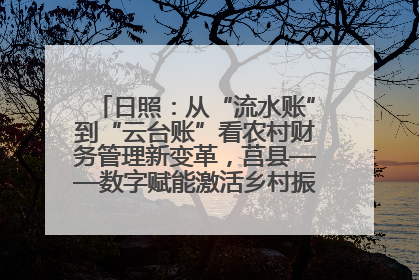 日照：从“流水账”到“云台账”看农村财务管理新变革，莒县——数字赋能激活乡村振兴“一池春水”