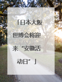 日本大阪世博会将迎来“安徽活动日”