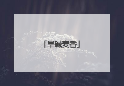 旱碱麦香