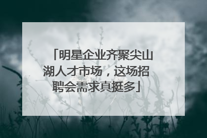 明星企业齐聚尖山湖人才市场，这场招聘会需求真挺多