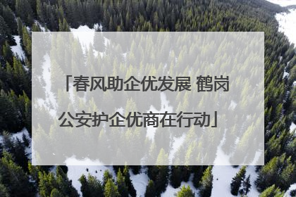 春风助企优发展 鹤岗公安护企优商在行动