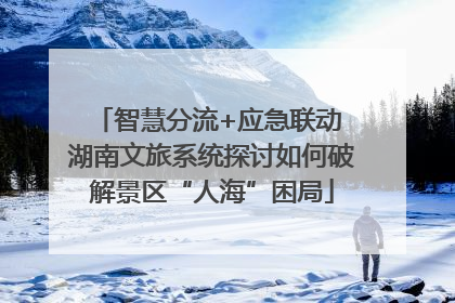 智慧分流+应急联动 湖南文旅系统探讨如何破解景区“人海”困局