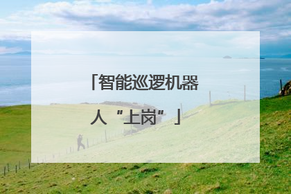智能巡逻机器人“上岗”