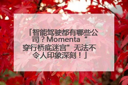 智能驾驶都有哪些公司？Momenta“穿行桥底迷宫”无法不令人印象深刻！