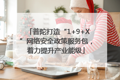 普陀打造“1+9+X”网络安全政策服务包，着力提升产业能级