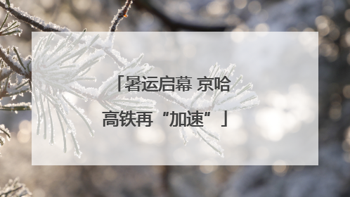 暑运启幕 京哈高铁再“加速”