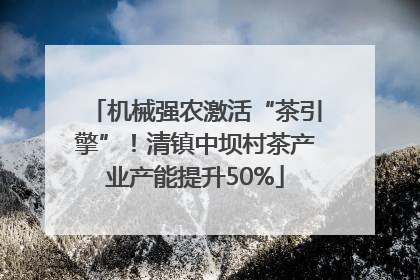 机械强农激活“茶引擎”！清镇中坝村茶产业产能提升50%