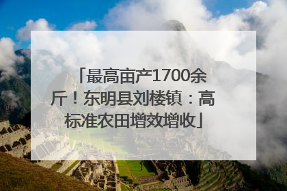 最高亩产1700余斤！东明县刘楼镇：高标准农田增效增收