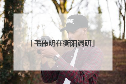 毛伟明在衡阳调研