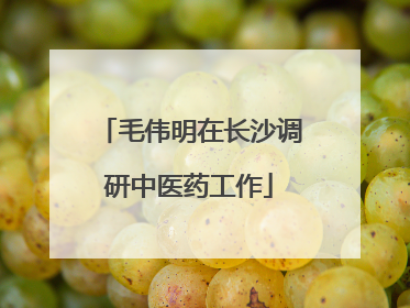 毛伟明在长沙调研中医药工作