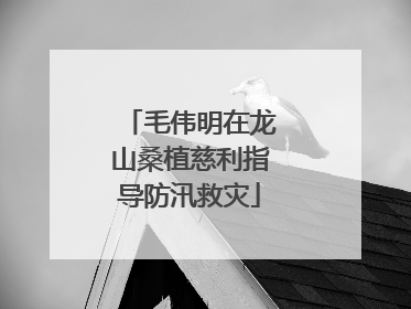 毛伟明在龙山桑植慈利指导防汛救灾