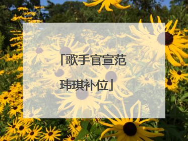 歌手官宣范玮琪补位