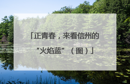 正青春，来看信州的“火焰蓝”（图）