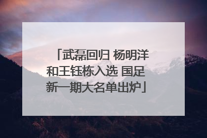 武磊回归 杨明洋和王钰栋入选 国足新一期大名单出炉