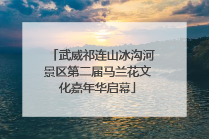武威祁连山冰沟河景区第二届马兰花文化嘉年华启幕