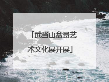 武当山盆景艺术文化展开展