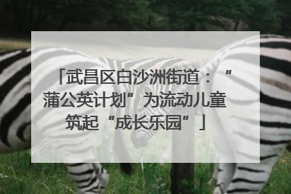 武昌区白沙洲街道：“蒲公英计划”为流动儿童筑起“成长乐园”
