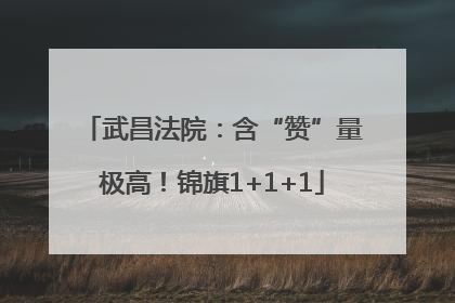 武昌法院：含“赞”量极高！锦旗1+1+1
